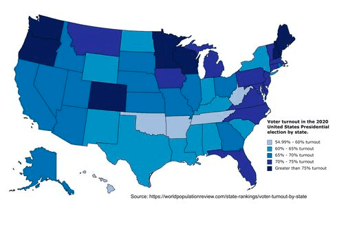 2020 Election Turnout