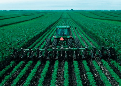 Food Production