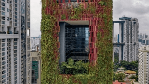 Cities of the future: How developers are working to reverse the health and climate impacts of urban sprawl