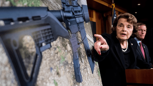 Assault Weapon Bans are All About Appearance