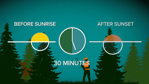 2021 Deer and Bear Hunting Regulation Changes