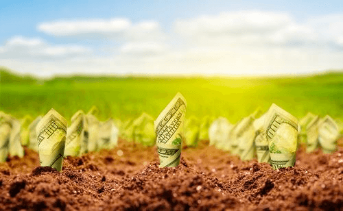 Farm Subsidies