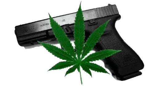 Anarchy Gumbo Podcast | Interview with The Guns And Weed Lobbyist, Richard Feldman