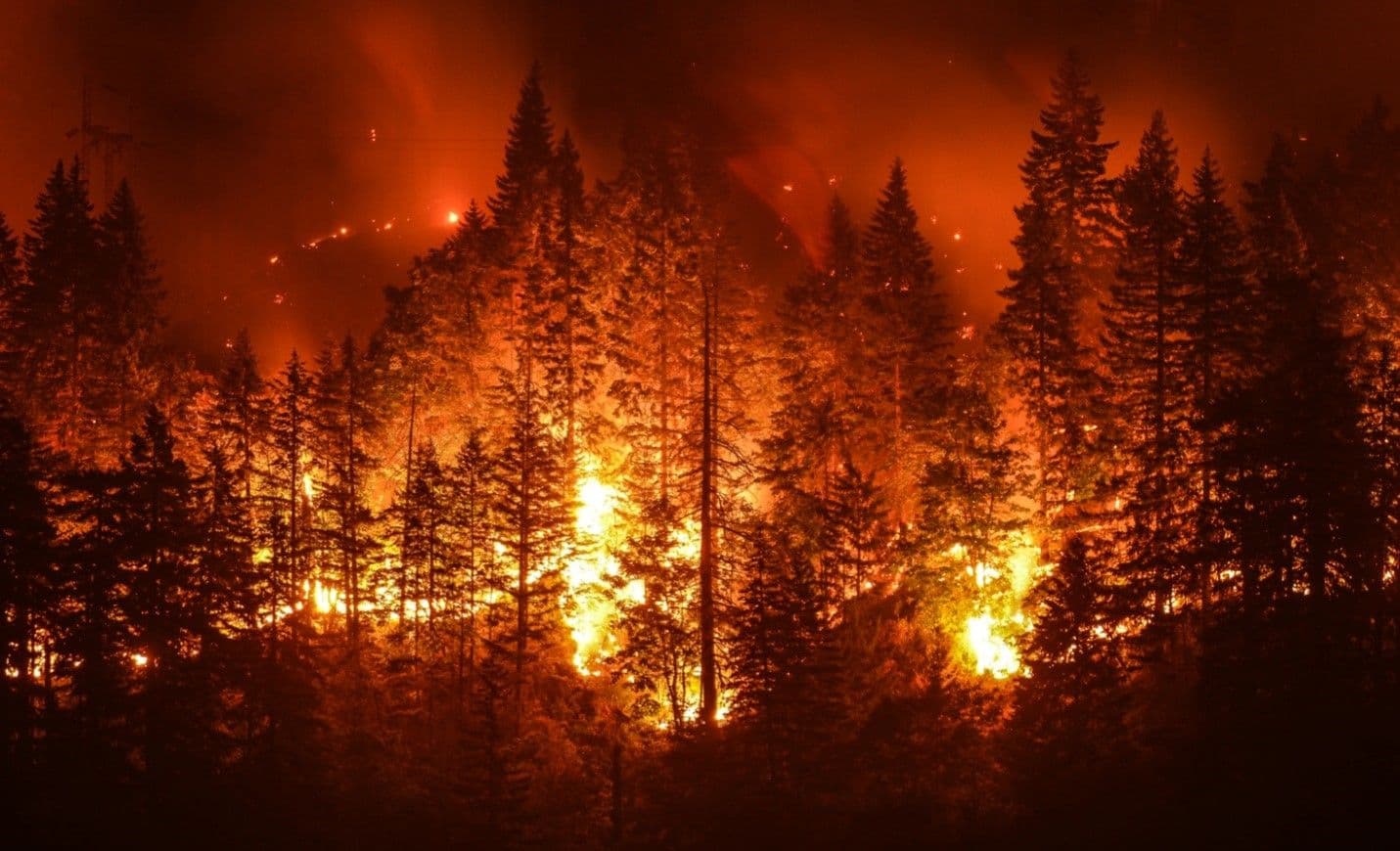 Natural Disasters