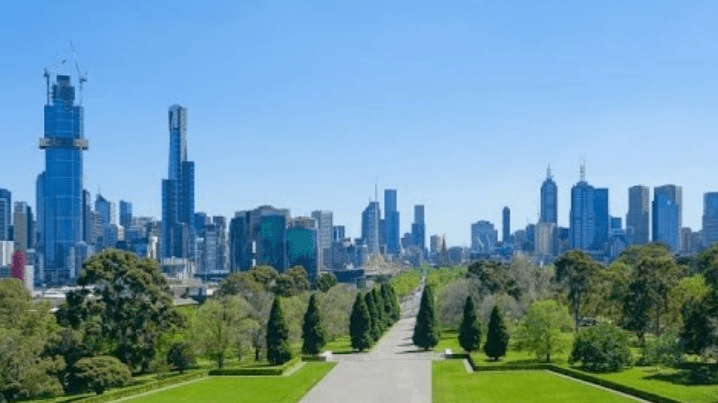 How the mass planting of trees could transform our cities and tackle air pollution