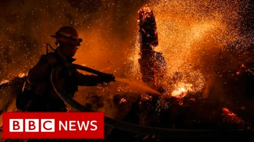 Weather disasters over the past five decades ‘have increased ‘five-fold’